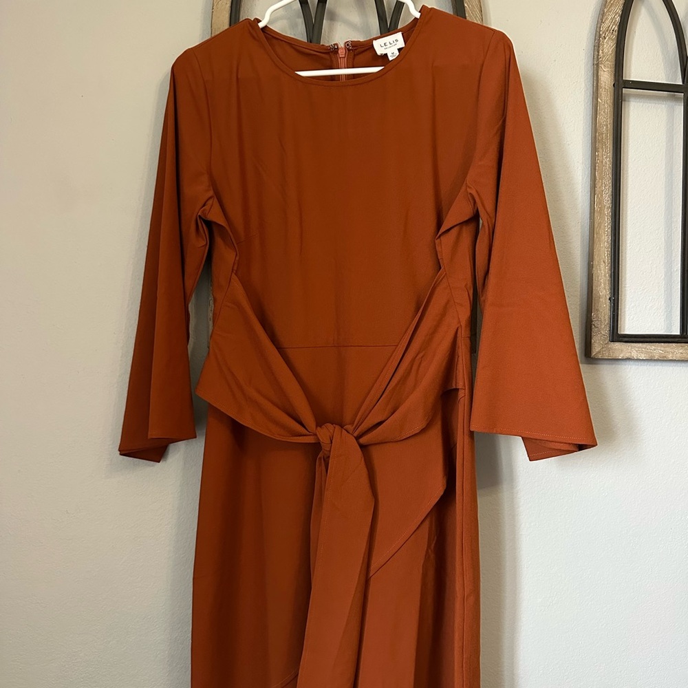 Le Lis Terracotta Long Sleeve Dress